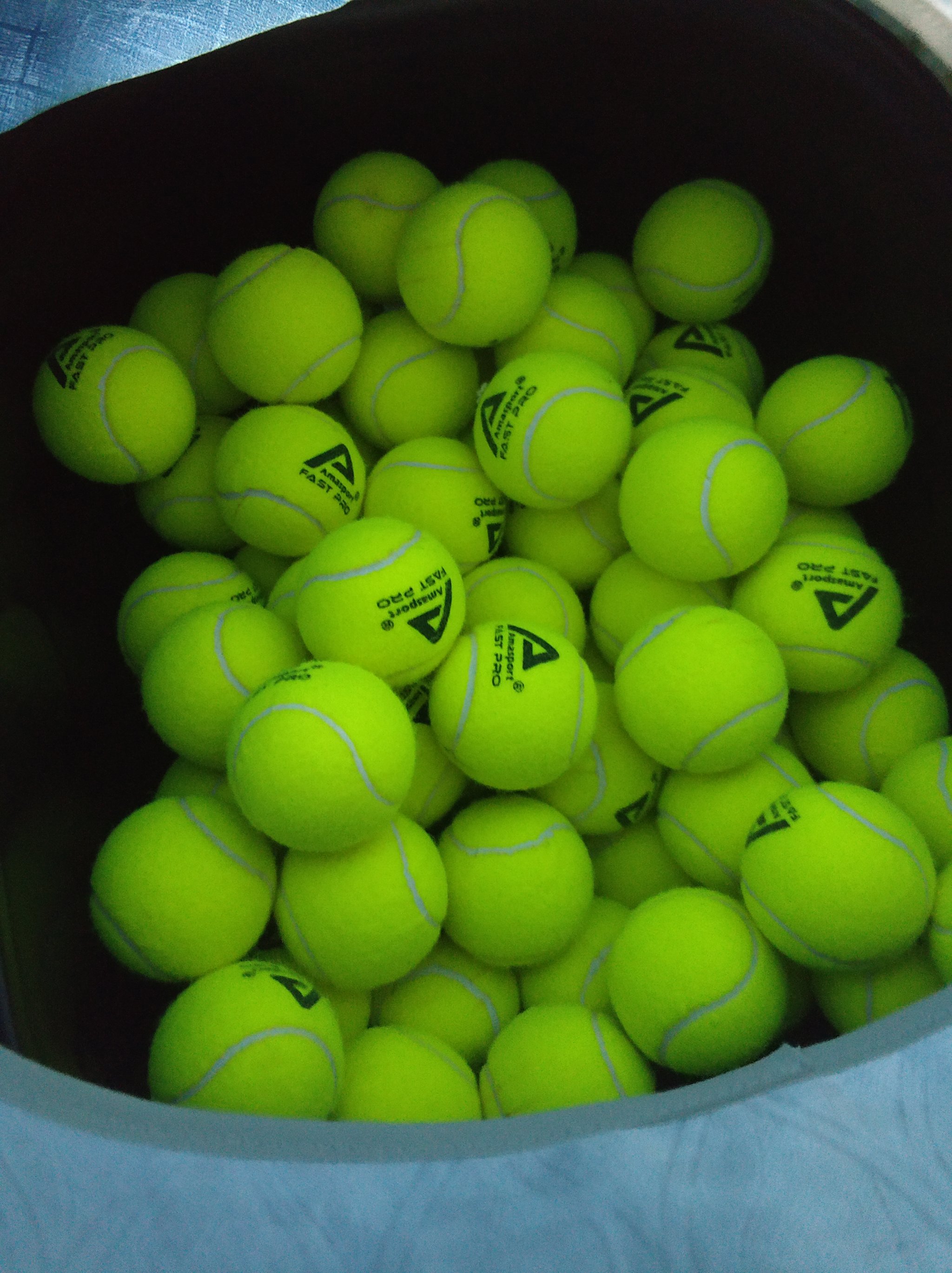 他们全队的 他们全队的